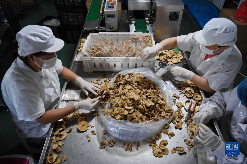 娱乐平台用户登录099
